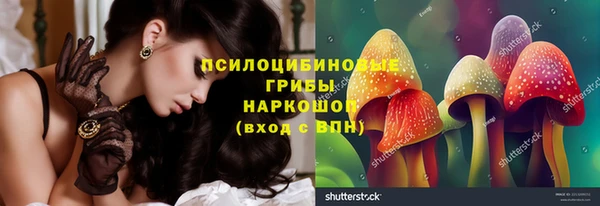 бошки Горно-Алтайск