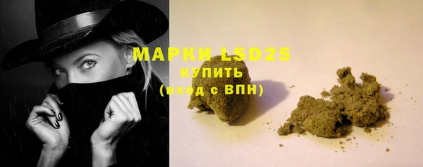 дживик Горняк