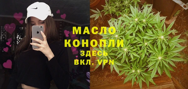 дживик Горняк
